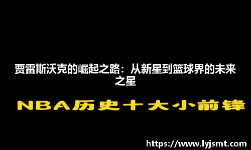 完美体育官网